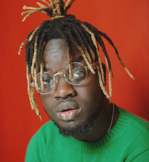 Diigtal Infowhiz - Web Designing